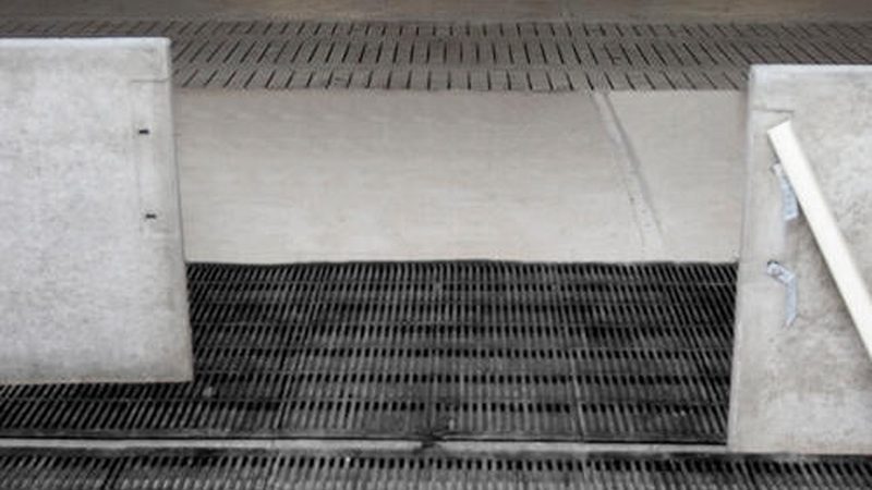成都新手直播带货入门：掌握核心技巧，轻松开启电商新篇章